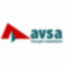 INMOBILIARIA AVSA